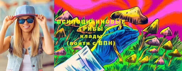 бошки Арсеньев