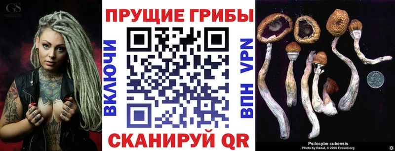 Псилоцибиновые грибы Magic Shrooms  магазин    blacksprut сайт  Балашов 